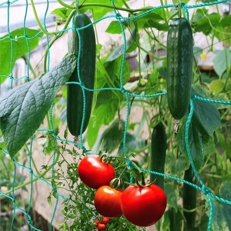 Durable Plant Support-2.7X1.8M - Plant Support Trellis Netting Climbing 评论和价格