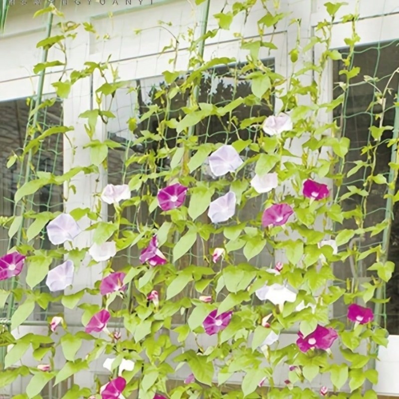 Durable Plant Support-2.7X1.8M - Plant Support Trellis Netting Climbing 评论和价格