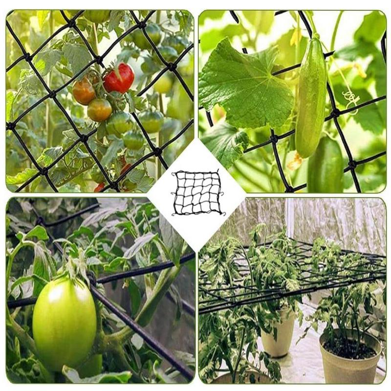 40/60/90/120cm Garden Trellis  - Plant Support Trellis Netting Climbing 评论和价格