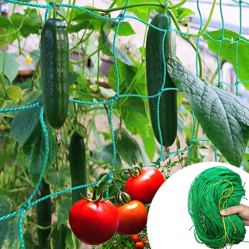 Plant Climbing Netting Heavy D - Plant Support Trellis Netting Climbing 评论和价格