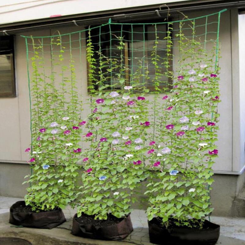 4 Sizes Garden Plant Climbing  - Plant Support Trellis Netting Climbing 评论和价格