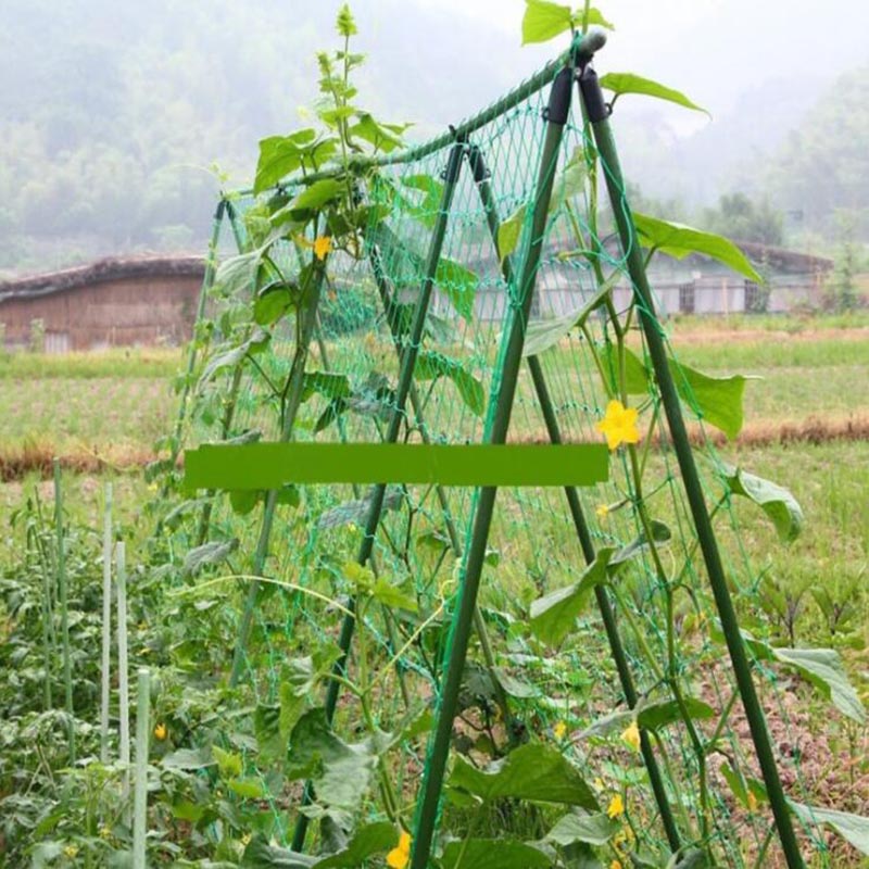 4 Sizes Garden Plant Climbing  - Plant Support Trellis Netting Climbing 评论和价格