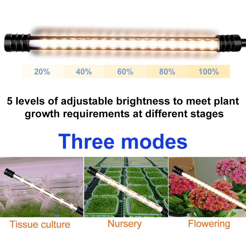 LED Phyto Grow Light Full Spec - Seed Starter Tray Kit With Grow Light 评论和价格