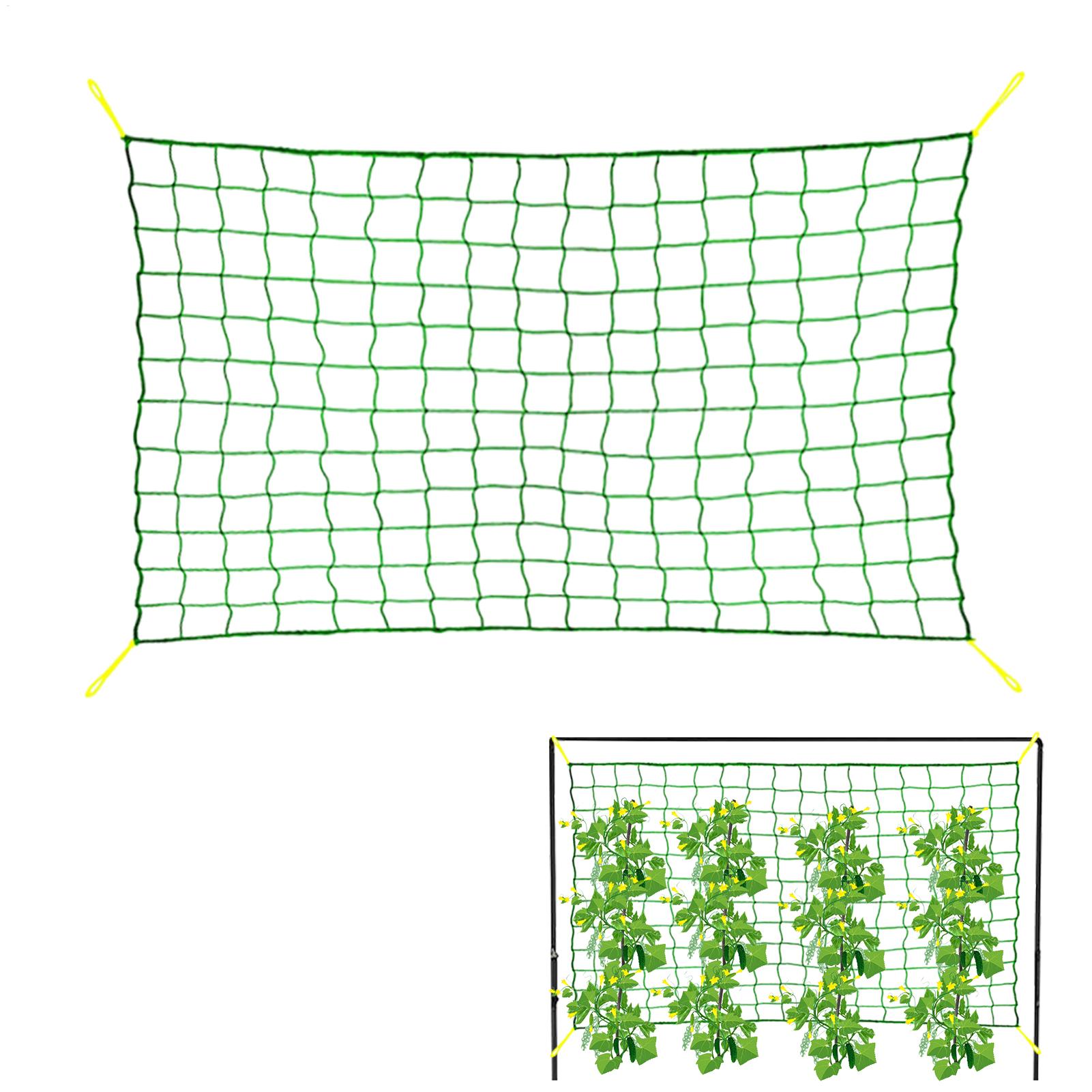 Plant Climbing Net Tree Nettin - Plant Support Trellis Netting Climbing 评论和价格