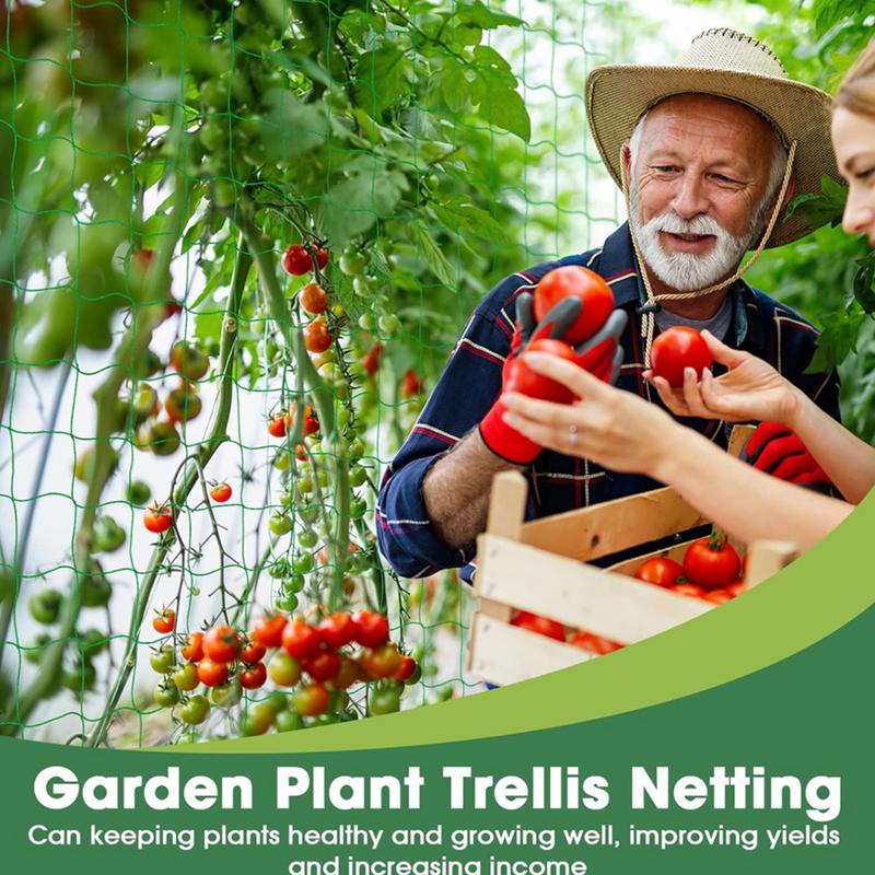 Trellis Netting For Climbing P - Plant Support Trellis Netting Climbing 评论和价格
