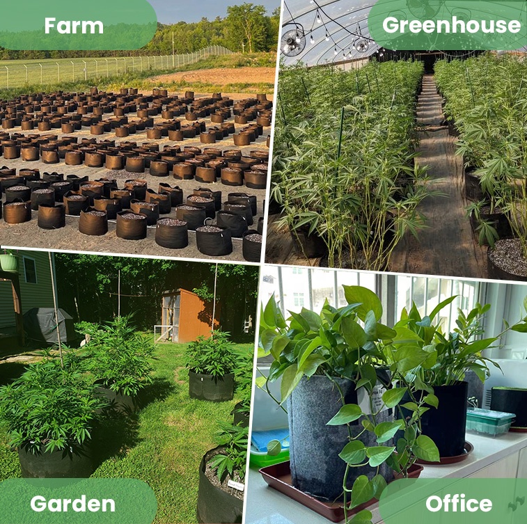 Garden Supplies Fabric Pot 5 G - Plant Nursery Grow Bags Fabric 5 Gallon 评论和价格