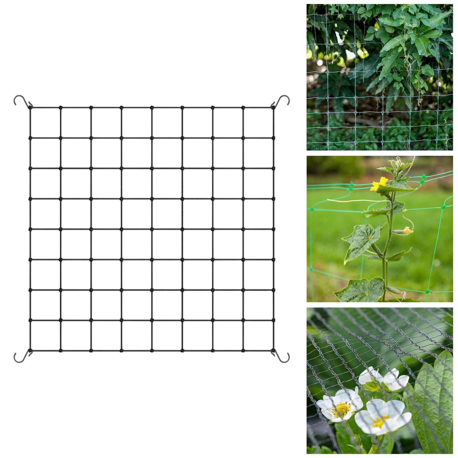 Plant Net Support Trellis Nett - Plant Support Trellis Netting Climbing 评论和价格