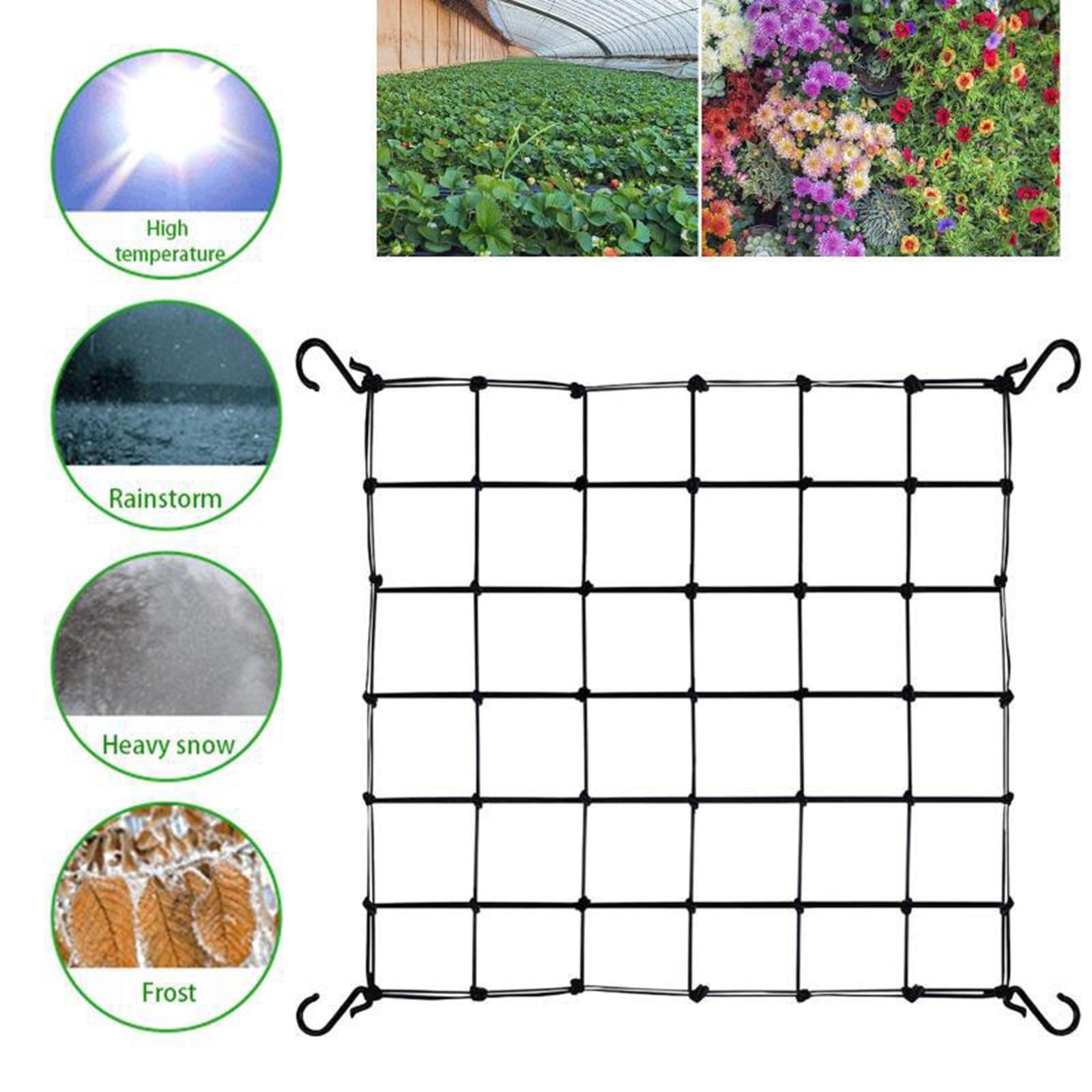 Plant Net Support Trellis Nett - Plant Support Trellis Netting Climbing 评论和价格
