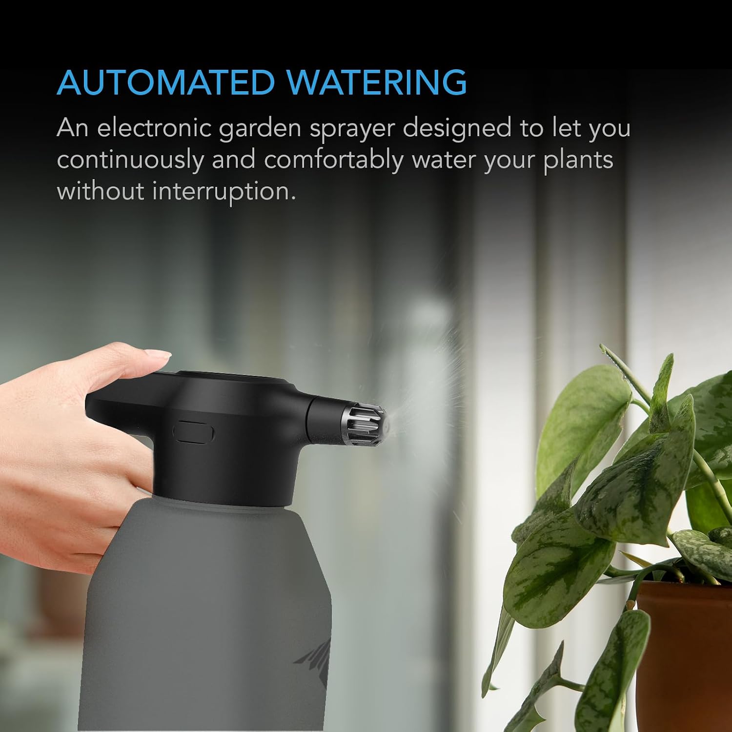 Automatic Sprayer & 6x12 Seed  - Seed Starter Tray Kit With Grow Light 评论和价格