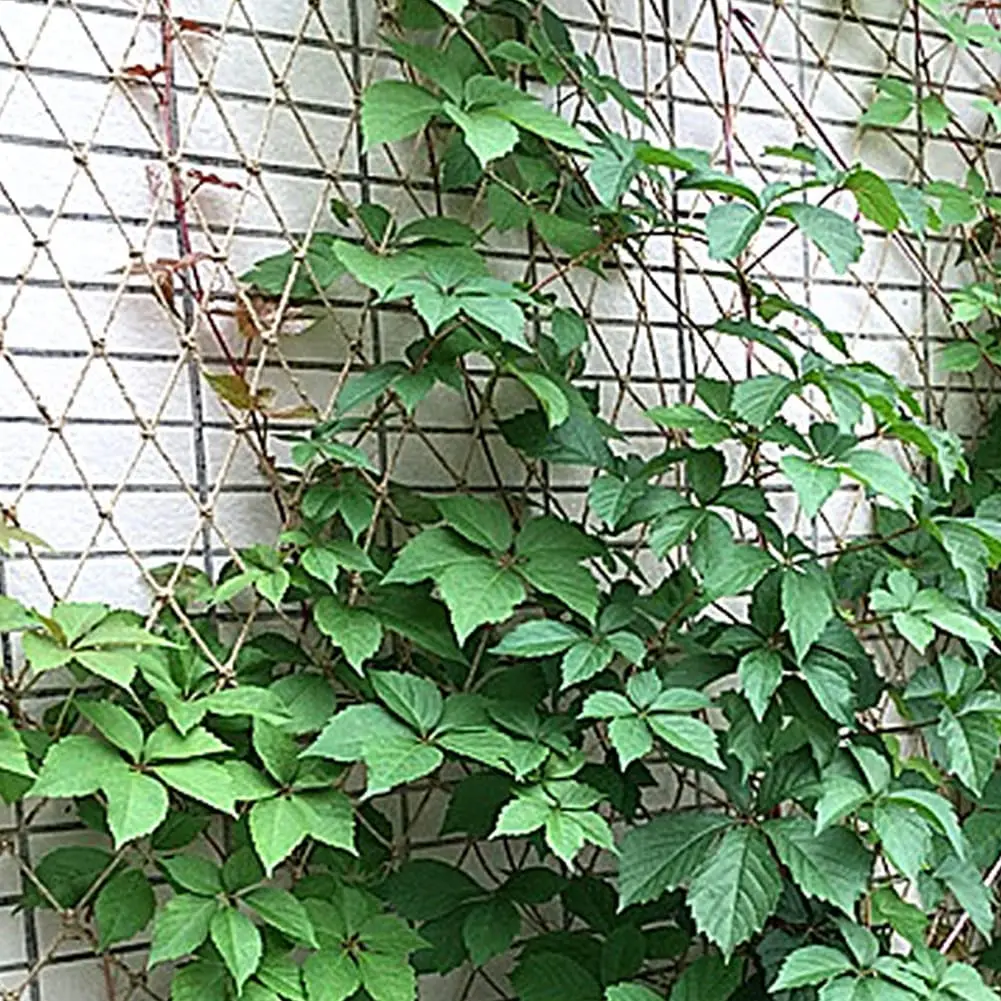 Plant Support Netting Natural  - Plant Support Trellis Netting Climbing 评论和价格