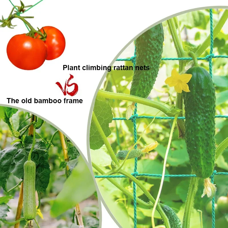 1-2Pcs Heavy Duty Polyester Tr - Plant Support Trellis Netting Climbing 评论和价格