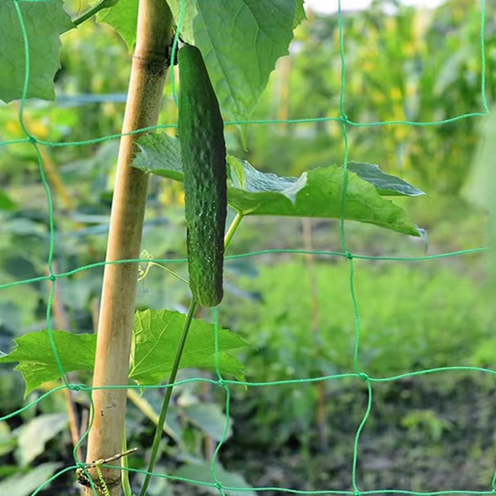 Plant Trellis Netting Net 9-st - Plant Support Trellis Netting Climbing 评论和价格