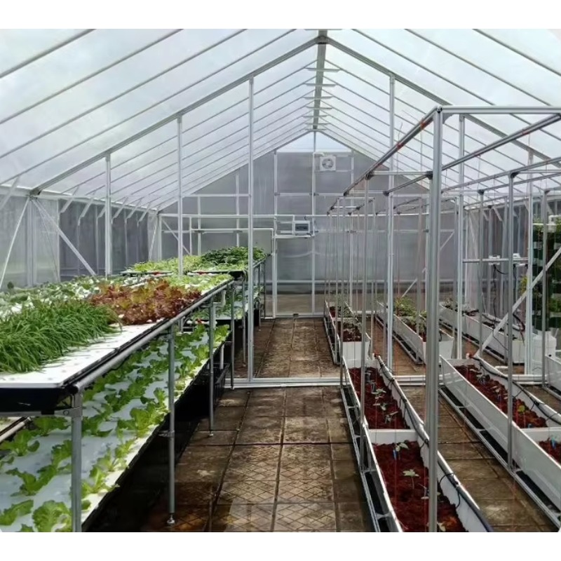 6Ft * 12ft outdoor walk-in pol - Polycarbonate Greenhouse Aluminum Frame 评论和价格
