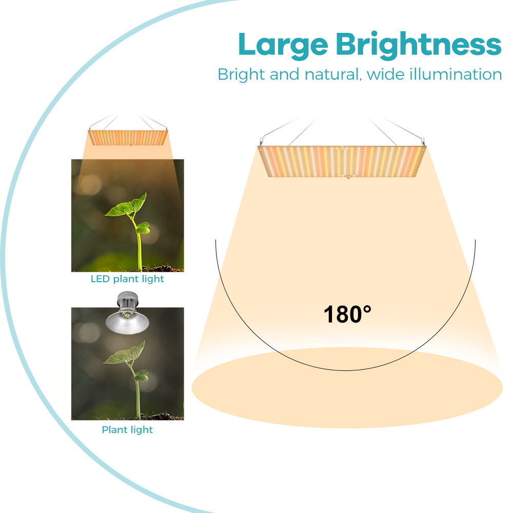 350W LED Plant Gorw Light Full - Seed Starter Tray Kit With Grow Light 评论和价格