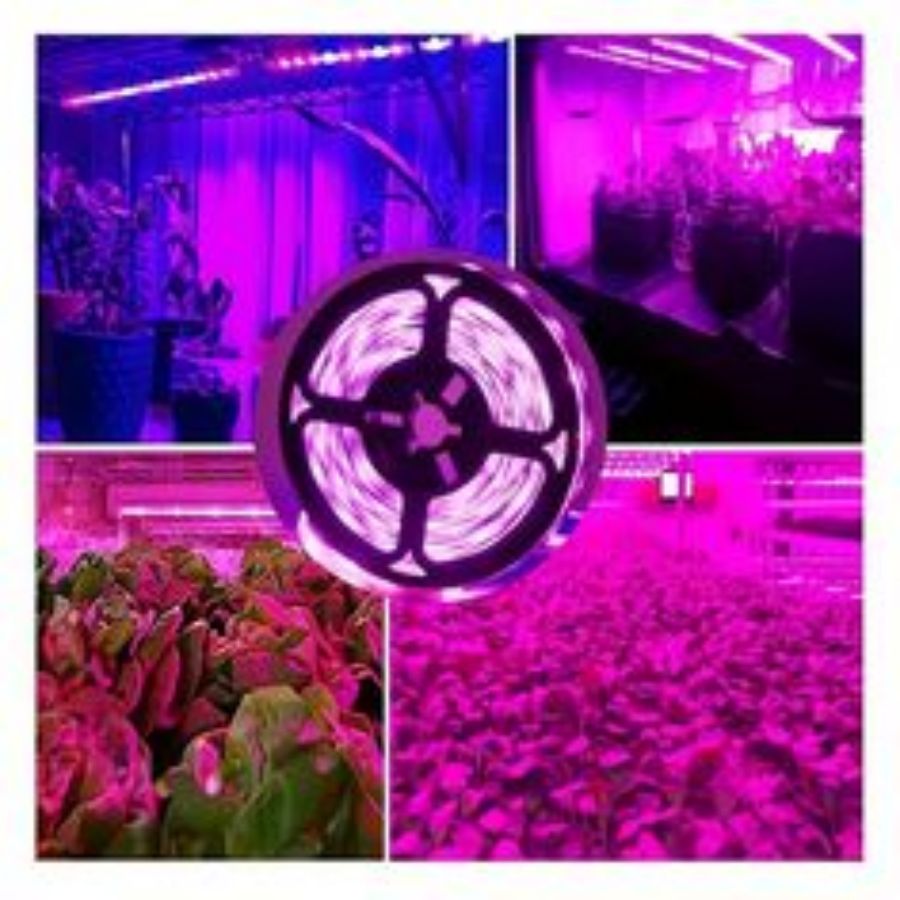 1M/2M/3M/5M/10M LED Full Spect - Seed Starter Tray Kit With Grow Light 评论和价格