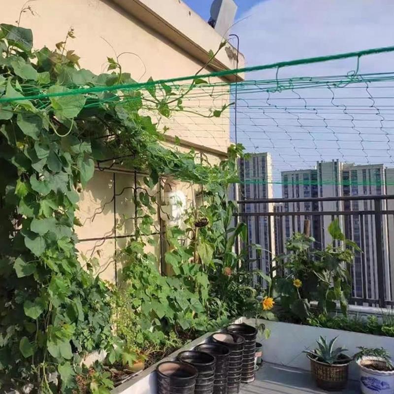 9 Strands Plant Climbing Netti - Plant Support Trellis Netting Climbing 评论和价格
