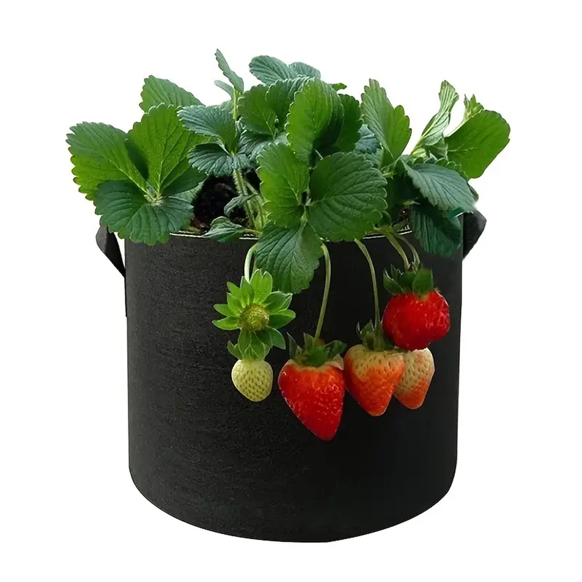 5PCS Felt Grow Bags 5/10/15 Ga - Plant Nursery Grow Bags Fabric 5 Gallon 评论和价格