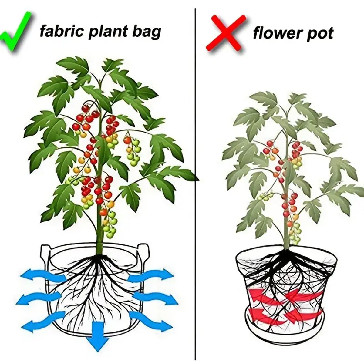 5PCS Felt Grow Bags 5/10/15 Ga - Plant Nursery Grow Bags Fabric 5 Gallon 评论和价格