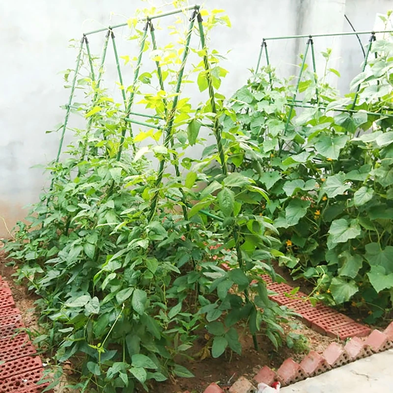 Cucumber Trellis Set A-Frame F - Plant Support Trellis Netting Climbing 评论和价格