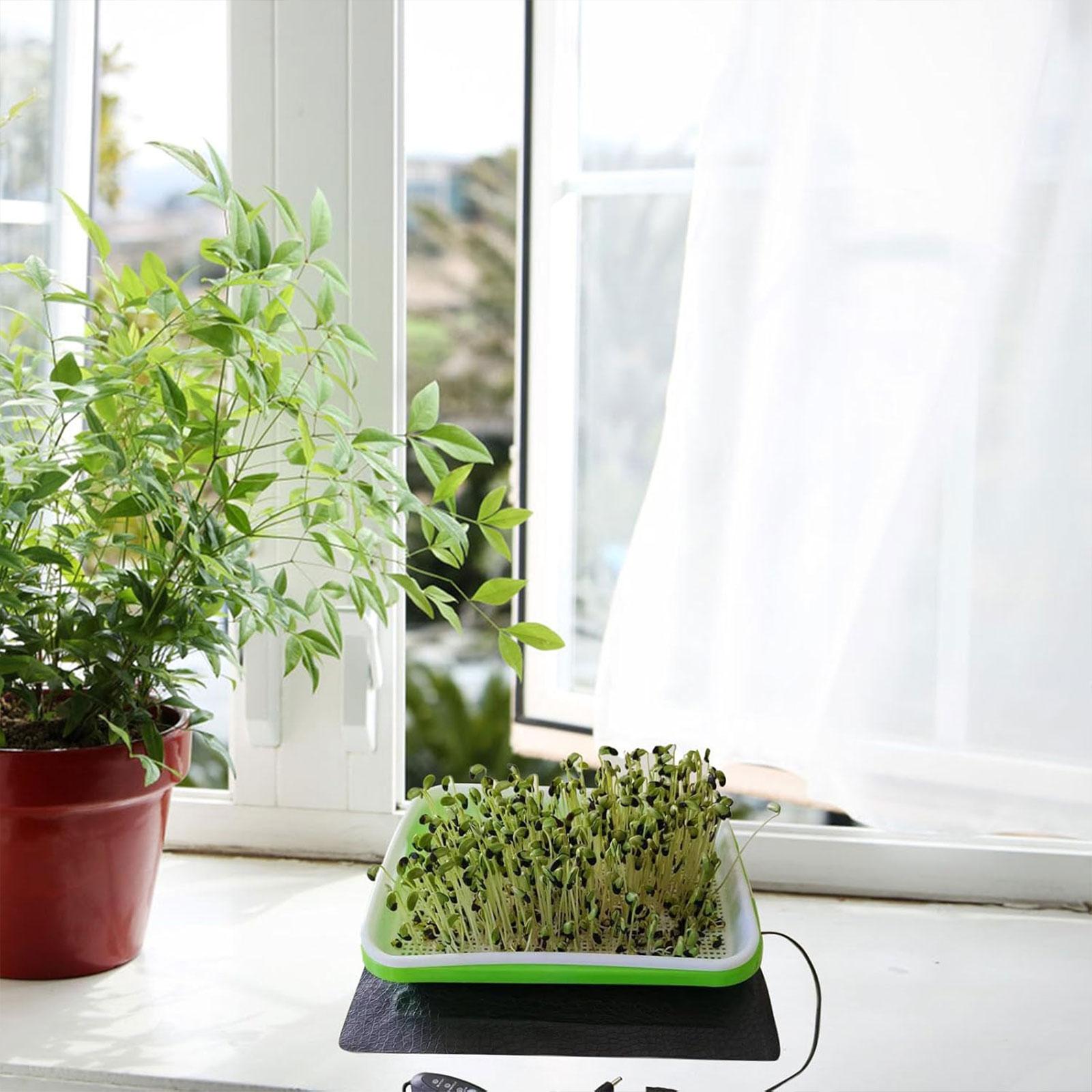 Hydroponic Heat Mat for Seedli - Plant Seedling Heat Mat Waterproof 评论和价格
