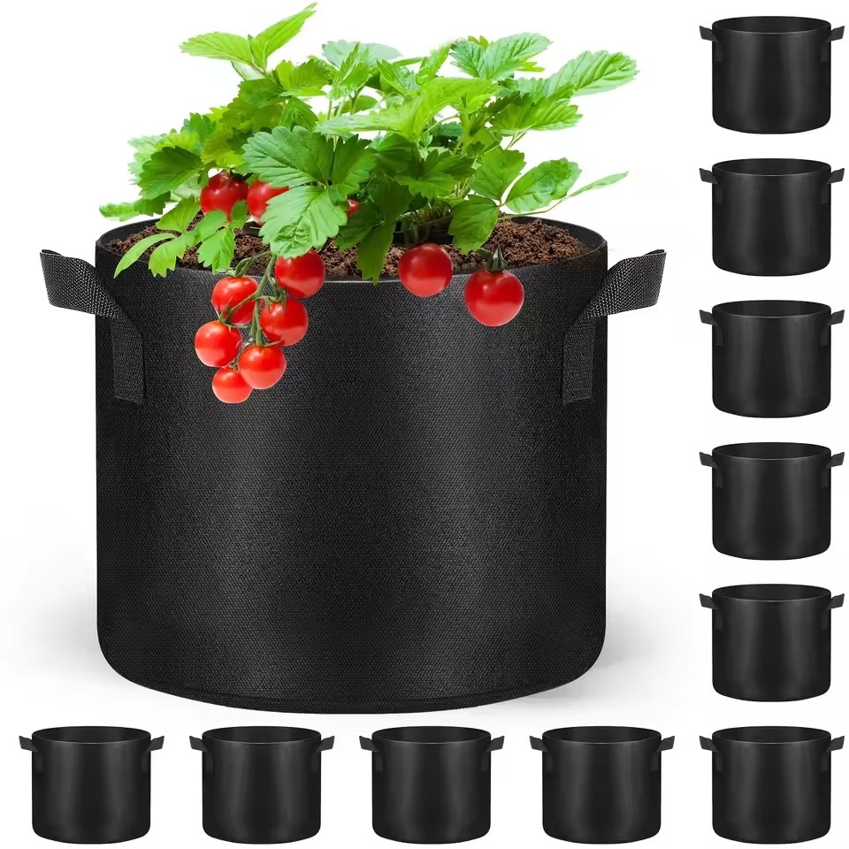 Felt Grow Bags Vegetable Flowe - Plant Nursery Grow Bags Fabric 5 Gallon 评论和价格