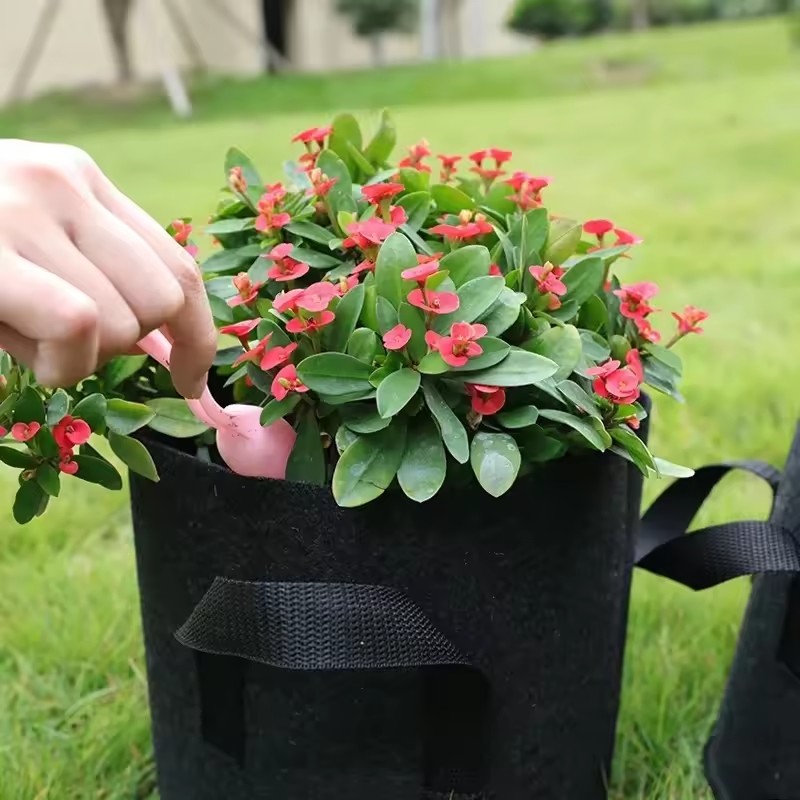 Felt Grow Bags Vegetable Flowe - Plant Nursery Grow Bags Fabric 5 Gallon 评论和价格