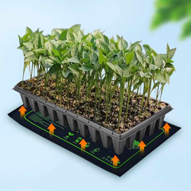 Seedling Digital Temperature C - Plant Seedling Heat Mat Waterproof 评论和价格