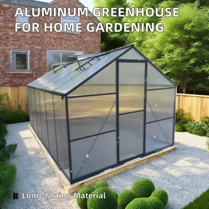 Premium Large Outdoor Modern A - Polycarbonate Greenhouse Aluminum Frame 评论和价格