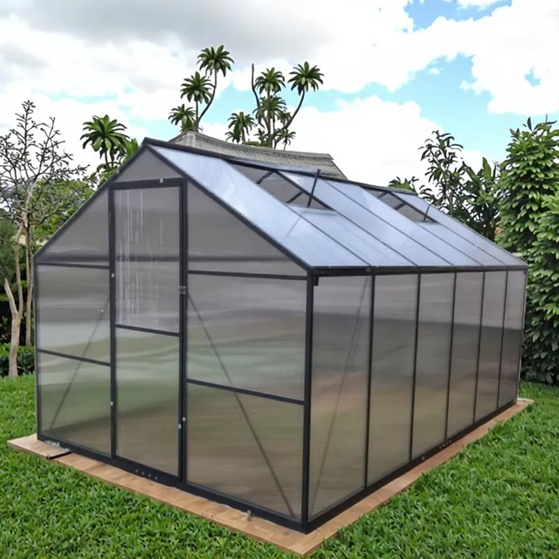 Premium Large Outdoor Modern A - Polycarbonate Greenhouse Aluminum Frame 评论和价格