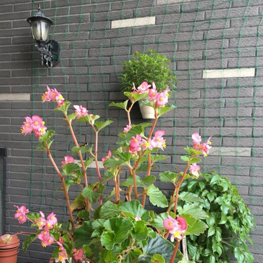 Nylon Trellis Netting Climbing - Plant Support Trellis Netting Climbing 评论和价格
