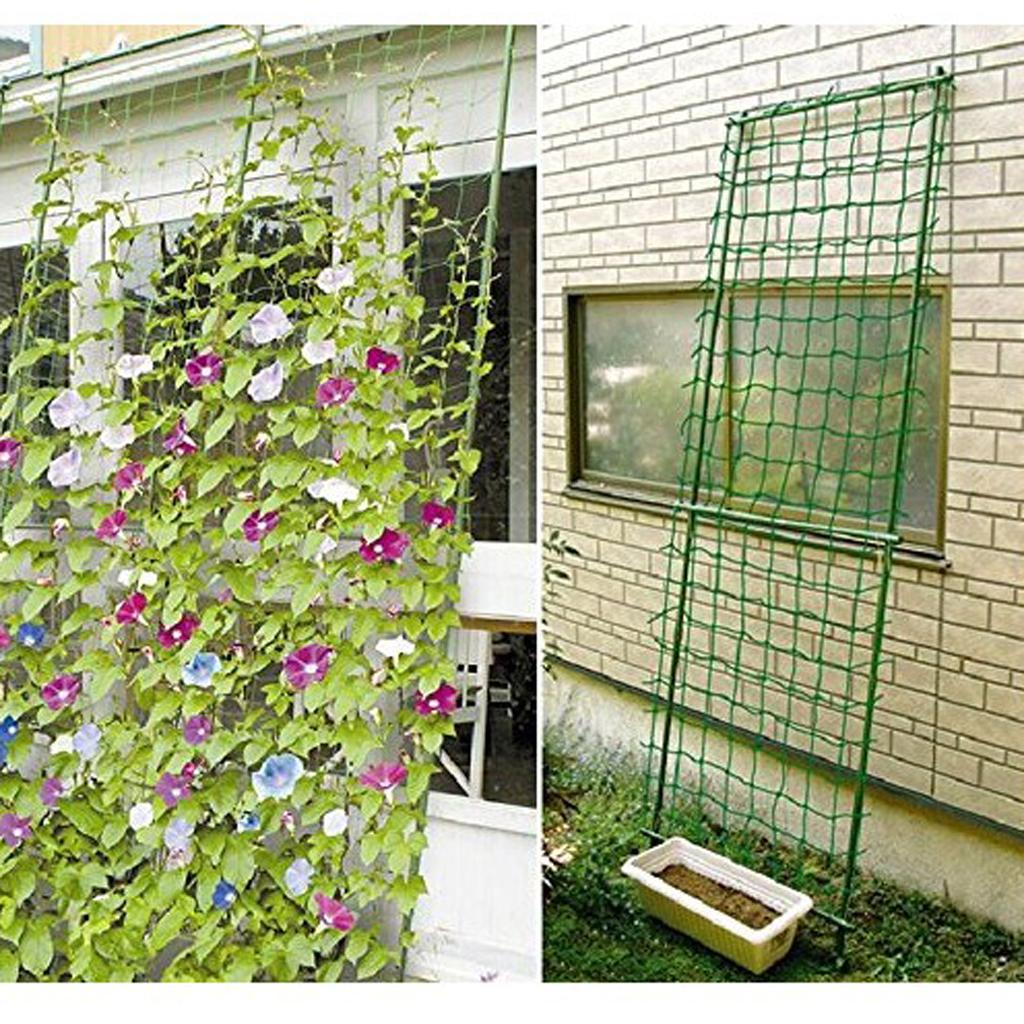 Nylon Trellis Netting Climbing - Plant Support Trellis Netting Climbing 评论和价格