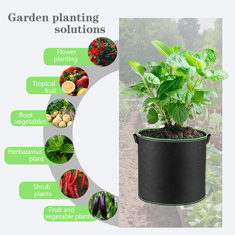 1 3 5 10 Gallon Fabric Plant G - Plant Nursery Grow Bags Fabric 5 Gallon 评论和价格