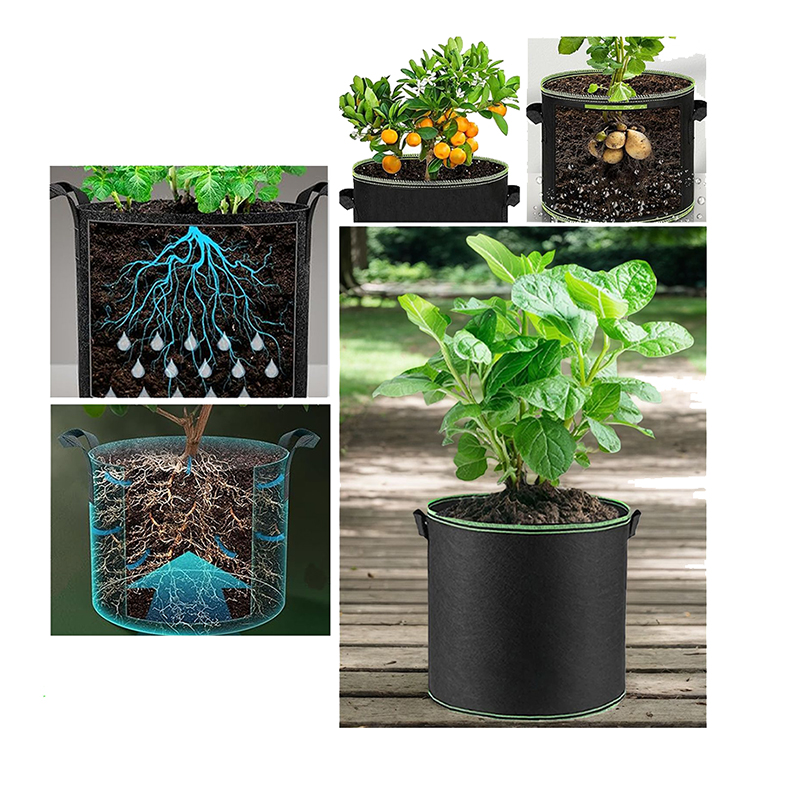 1 3 5 10 Gallon Fabric Plant G - Plant Nursery Grow Bags Fabric 5 Gallon 评论和价格